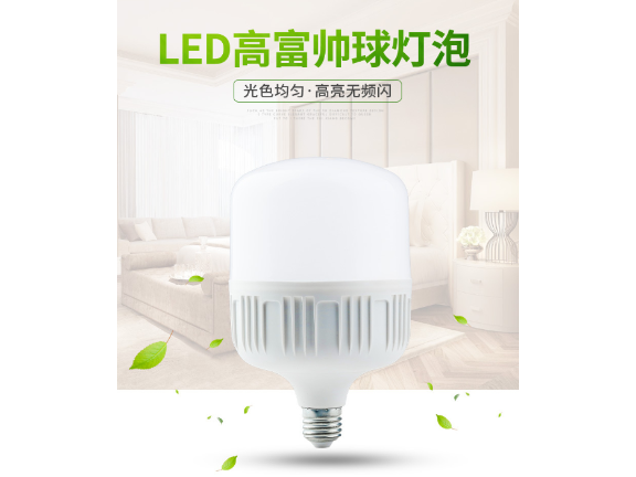 天津塑料節(jié)能球泡報(bào)價(jià),球泡
