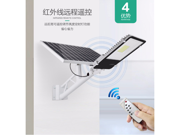 濰坊亮化工程公司 抱誠(chéng)守真 中山茂碩科技供應(yīng)